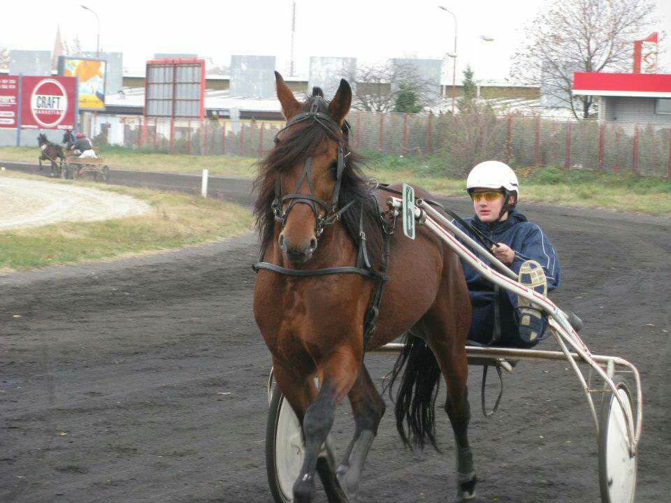 Nikola Jokic as a jockey